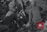 Image of U.S. Army Medical Service in Korea Korea, 1953, second 38 stock footage video 65675032202
