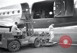 Image of Wounded US soldiers evacuated Korean War United States USA, 1953, second 59 stock footage video 65675032205
