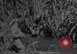 Image of U.S.Army Medical Research Center Korea, 1953, second 61 stock footage video 65675032206