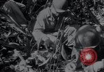 Image of U.S.Army Medical Research Center Korea, 1953, second 62 stock footage video 65675032206