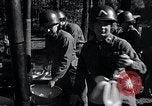 Image of female soldiers United States USA, 1951, second 45 stock footage video 65675032212