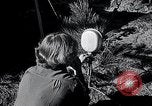 Image of female soldiers United States USA, 1951, second 48 stock footage video 65675032212