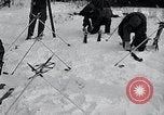 Image of female soldiers United States USA, 1954, second 33 stock footage video 65675032213