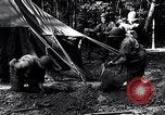 Image of female soldiers Korea, 1954, second 8 stock footage video 65675032215