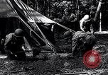 Image of female soldiers Korea, 1954, second 9 stock footage video 65675032215