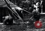 Image of female soldiers Korea, 1954, second 10 stock footage video 65675032215