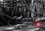 Image of female soldiers Korea, 1954, second 11 stock footage video 65675032215