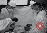 Image of American Army Nurses Corps Korea, 1954, second 46 stock footage video 65675032216