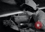 Image of female soldiers Korea, 1954, second 58 stock footage video 65675032217
