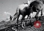 Immagine di Fiume Mississippi United States USA, 1937, secondo 36 filmato di repertorio 65675032219