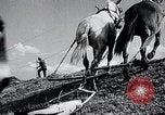 Immagine di Fiume Mississippi United States USA, 1937, secondo 37 filmato di repertorio 65675032219