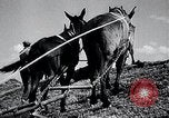Immagine di Fiume Mississippi United States USA, 1937, secondo 41 filmato di repertorio 65675032219