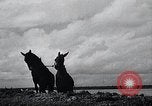 Immagine di Fiume Mississippi United States USA, 1937, secondo 54 filmato di repertorio 65675032219