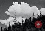 Image of lumbering United States USA, 1937, second 5 stock footage video 65675032221