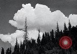 Image of lumbering United States USA, 1937, second 6 stock footage video 65675032221