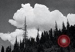 Image of lumbering United States USA, 1937, second 7 stock footage video 65675032221
