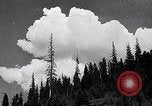 Image of lumbering United States USA, 1937, second 8 stock footage video 65675032221