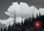Image of lumbering United States USA, 1937, second 10 stock footage video 65675032221