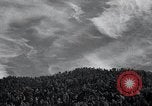 Image of lumbering United States USA, 1937, second 11 stock footage video 65675032221