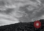 Image of lumbering United States USA, 1937, second 16 stock footage video 65675032221