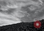 Image of lumbering United States USA, 1937, second 17 stock footage video 65675032221