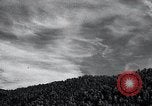 Image of lumbering United States USA, 1937, second 18 stock footage video 65675032221