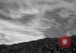Image of lumbering United States USA, 1937, second 19 stock footage video 65675032221