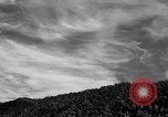 Image of lumbering United States USA, 1937, second 21 stock footage video 65675032221