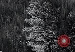 Image of lumbering United States USA, 1937, second 28 stock footage video 65675032221