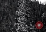 Image of lumbering United States USA, 1937, second 29 stock footage video 65675032221