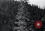 Image of lumbering United States USA, 1937, second 30 stock footage video 65675032221