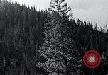 Image of lumbering United States USA, 1937, second 31 stock footage video 65675032221