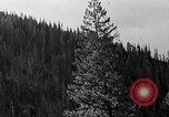 Image of lumbering United States USA, 1937, second 32 stock footage video 65675032221