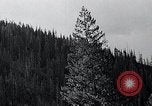 Image of lumbering United States USA, 1937, second 33 stock footage video 65675032221