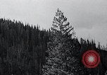 Image of lumbering United States USA, 1937, second 34 stock footage video 65675032221