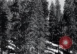Image of lumbering United States USA, 1937, second 59 stock footage video 65675032221