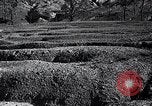 Standbild Flut in Mississippi United States USA, 1937, aus Sekunde 41 historischem Filmmaterial Videoclip 65675032225