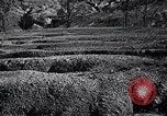 Standbild Flut in Mississippi United States USA, 1937, aus Sekunde 42 historischem Filmmaterial Videoclip 65675032225