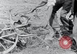 Standbild Menschen in den ländlichen Gebieten United States USA, 1935, aus Sekunde 34 historischem Filmmaterial Videoclip 65675032229