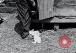 Image of people in rural area United States USA, 1935, second 7 stock footage video 65675032230