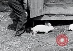 Image of people in rural area United States USA, 1935, second 9 stock footage video 65675032230
