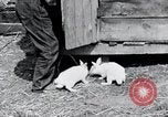 Image of people in rural area United States USA, 1935, second 11 stock footage video 65675032230
