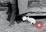 Image of people in rural area United States USA, 1935, second 12 stock footage video 65675032230
