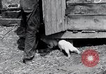 Image of people in rural area United States USA, 1935, second 13 stock footage video 65675032230