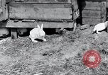 Image of people in rural area United States USA, 1935, second 14 stock footage video 65675032230