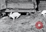 Image of people in rural area United States USA, 1935, second 15 stock footage video 65675032230