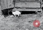 Image of people in rural area United States USA, 1935, second 16 stock footage video 65675032230