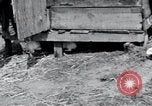 Image of people in rural area United States USA, 1935, second 17 stock footage video 65675032230