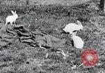 Image of people in rural area United States USA, 1935, second 18 stock footage video 65675032230