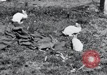 Image of people in rural area United States USA, 1935, second 19 stock footage video 65675032230